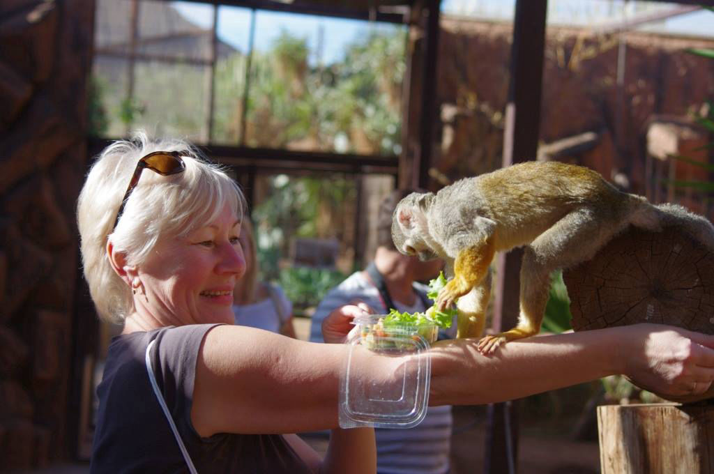 Monkey park ehk ahvipark Tenerifel