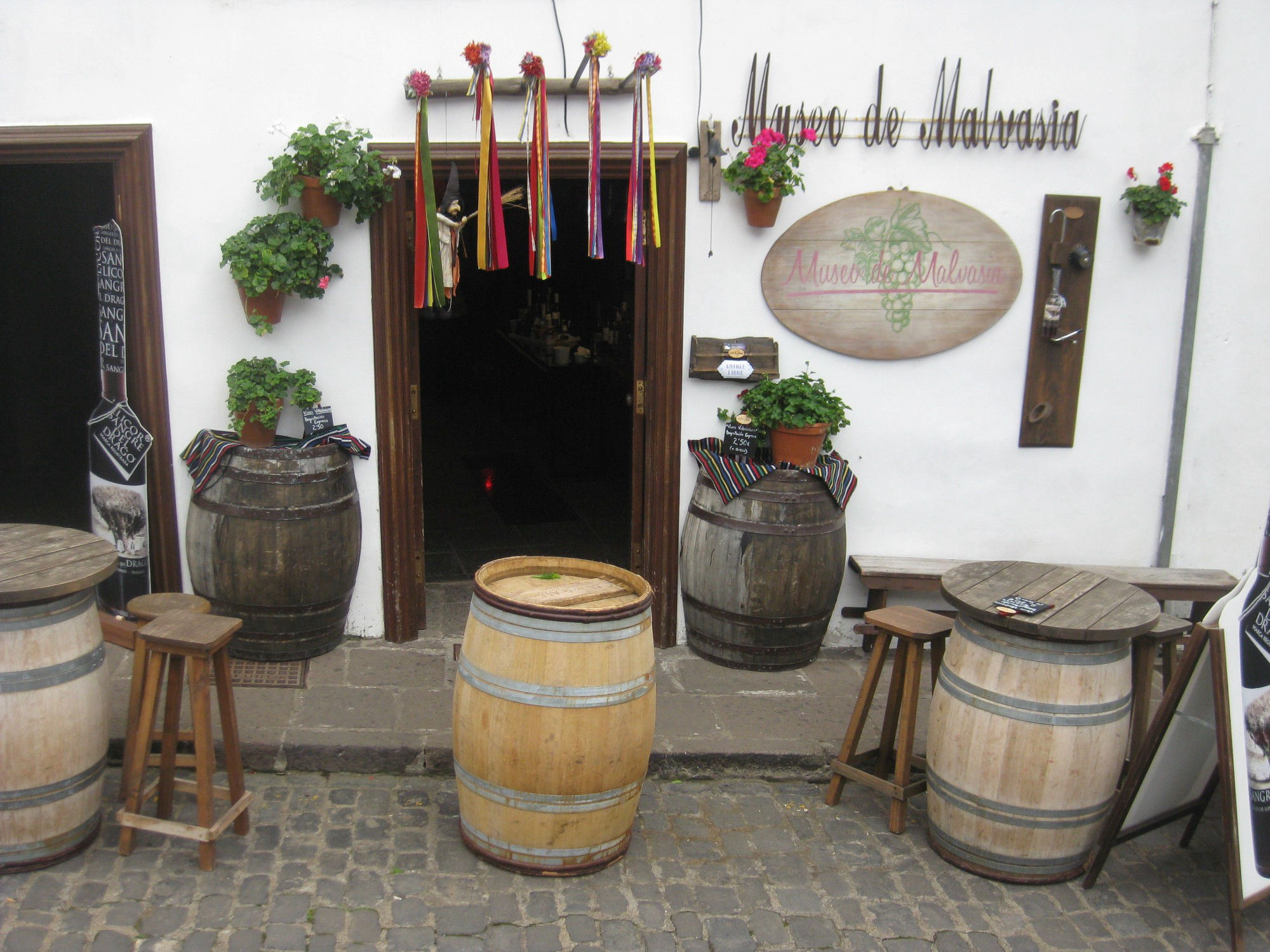 Icod de Los Vinos ja draakonipuu, Malvaasia veinid