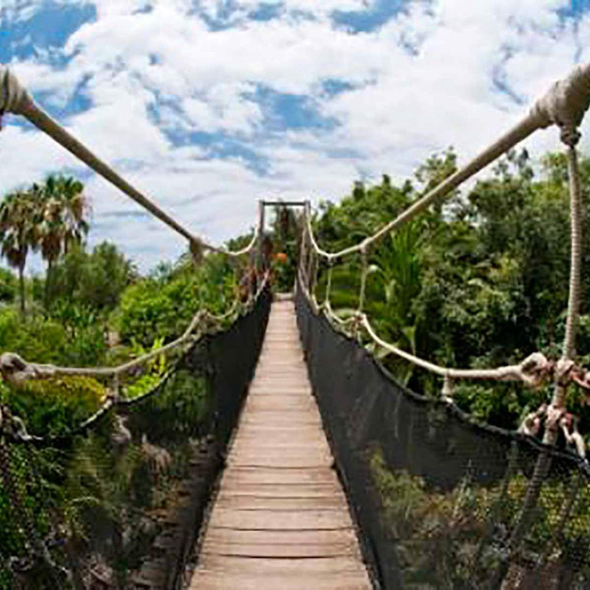Jungle park Tenerifel