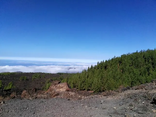 Tenerife piknikualad Corona Forestal