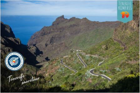 Ekskursioonid ja saaretuurid Tenerifel