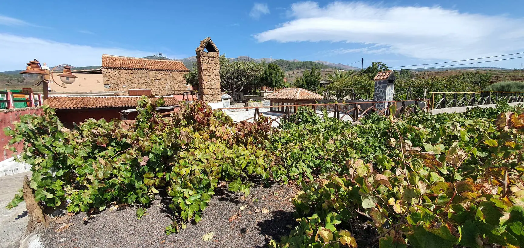 Veinituur ja kanaari köök Tenerifel