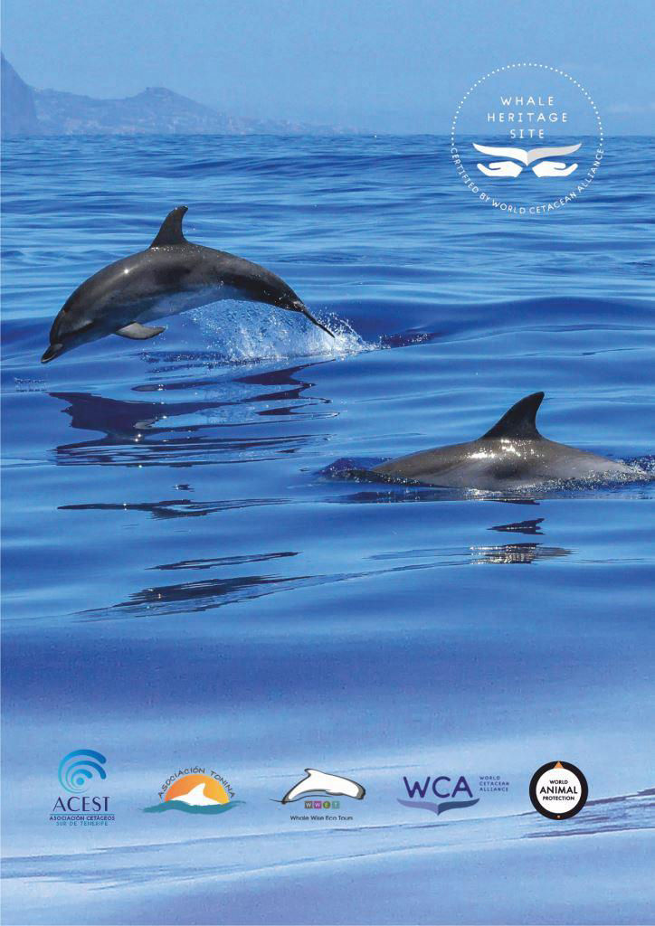 Vaalad ja delfiinid Tenerifel