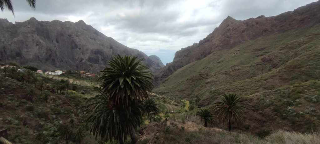 Tenerife Siam, Loro, Monkey park, delfiinid, vaalad