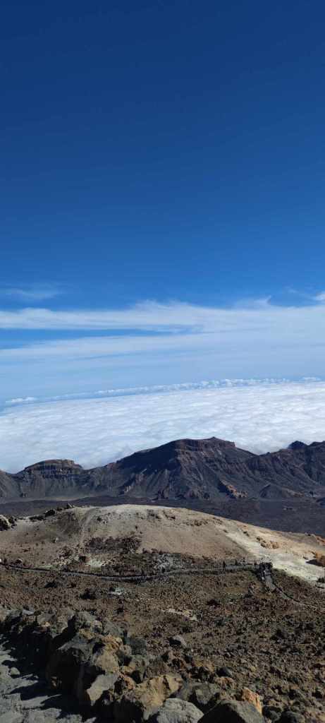 Tenerife Siam, Loro, Monkey park, delfiinid, vaalad