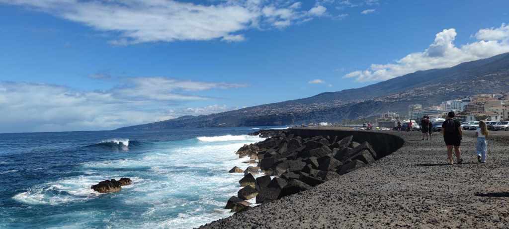 Tenerife Siam, Loro, Monkey park, delfiinid, vaalad