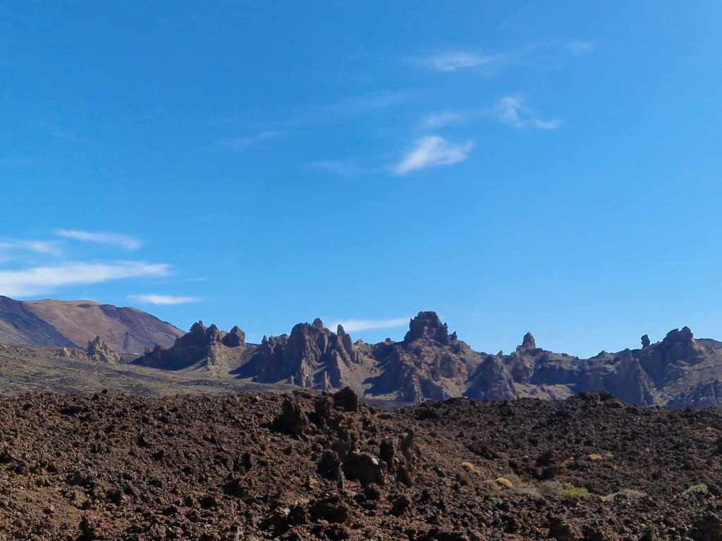 Tenerife Siam, Loro, Monkey park, delfiinid, vaalad