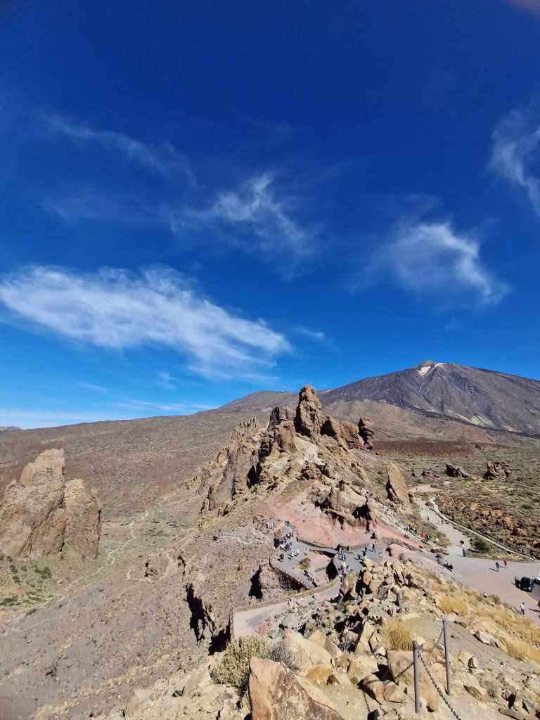 Tenerife Siam, Loro, Monkey park, delfiinid, vaalad