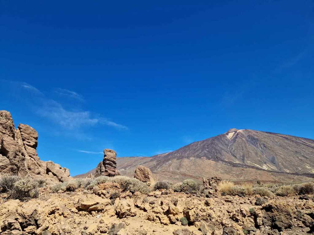 Tenerife Siam, Loro, Monkey park, delfiinid, vaalad