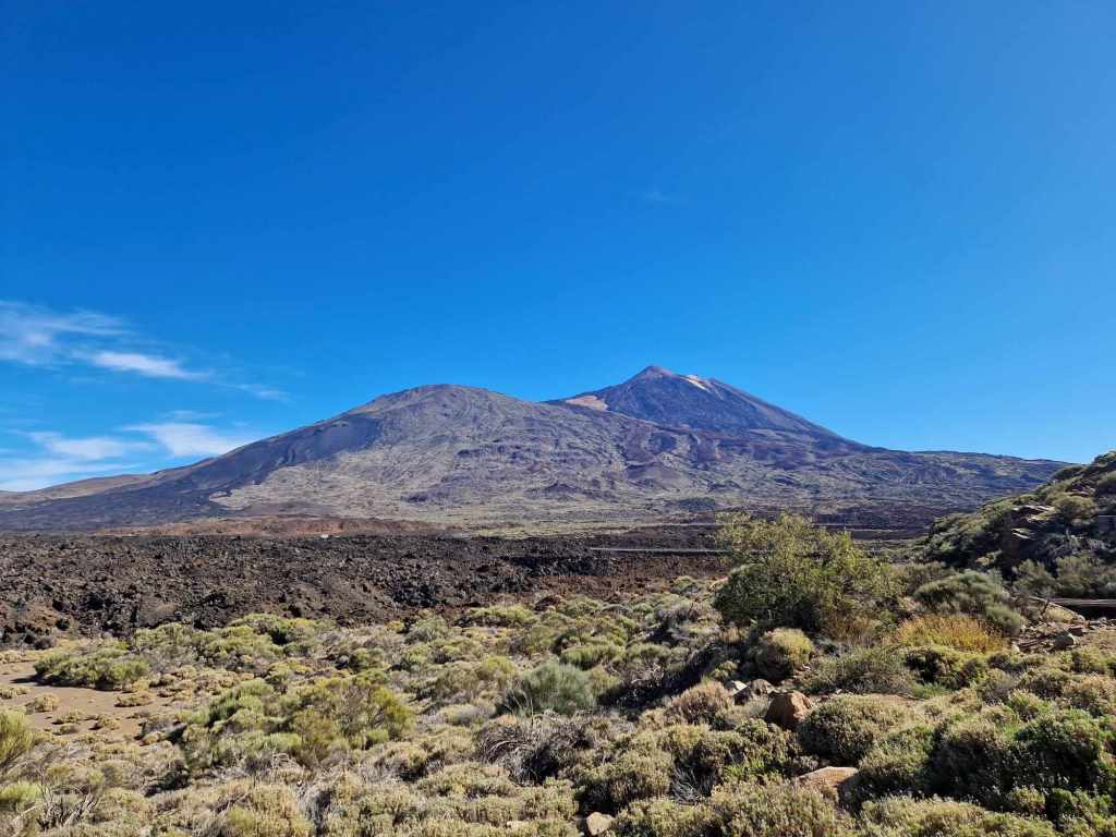 Tenerife Siam, Loro, Monkey park, delfiinid, vaalad