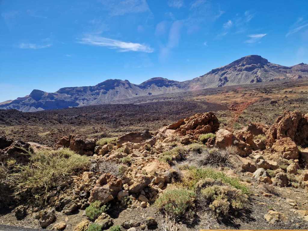 Tenerife Siam, Loro, Monkey park, delfiinid, vaalad