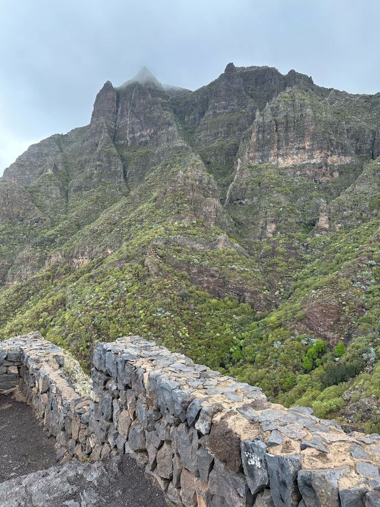 Tenerife Siam, Loro, Monkey park, delfiinid, vaalad