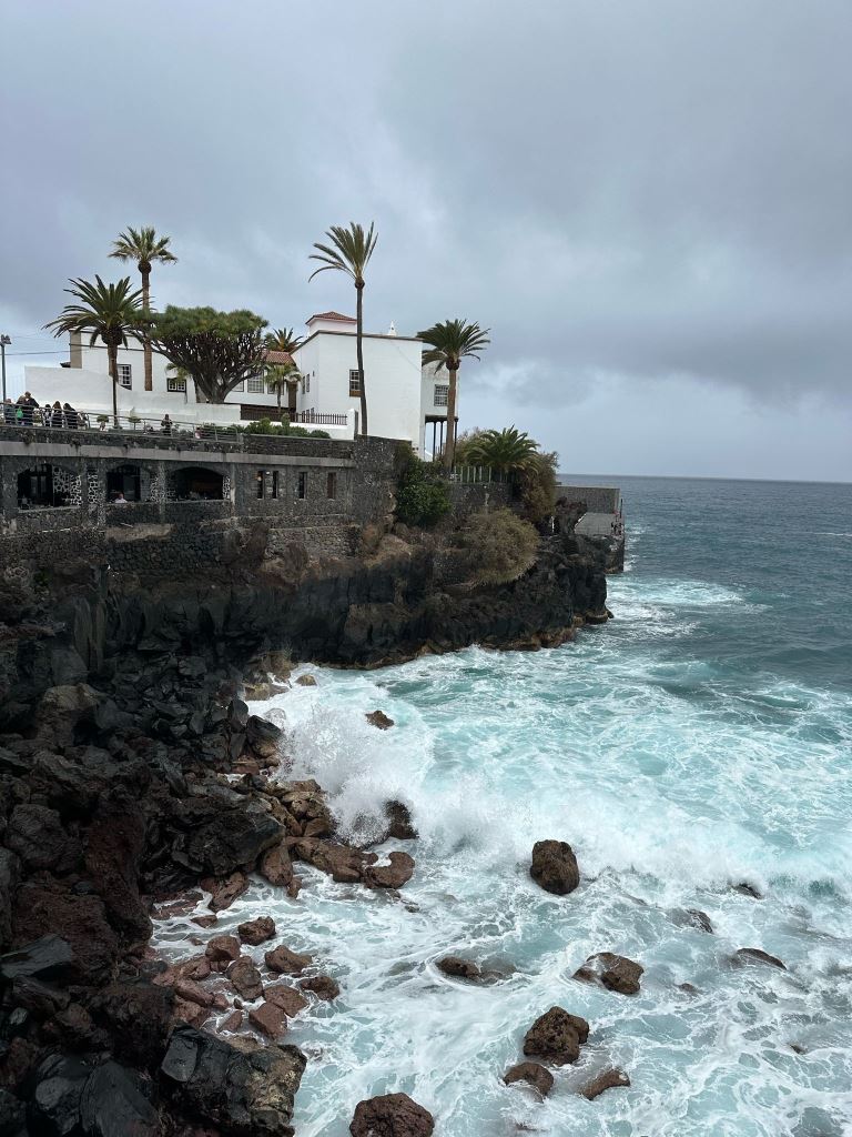 Tenerife Siam, Loro, Monkey park, delfiinid, vaalad