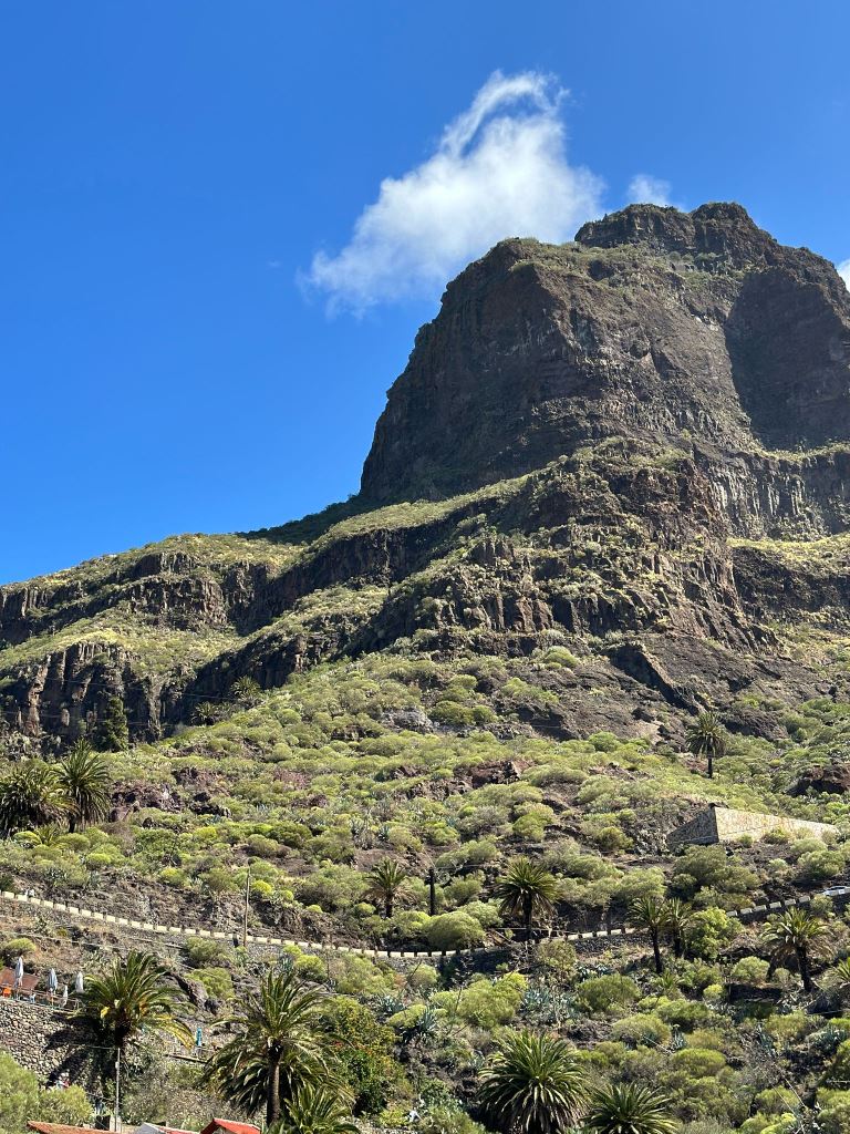 Tenerife Siam, Loro, Monkey park, delfiinid, vaalad