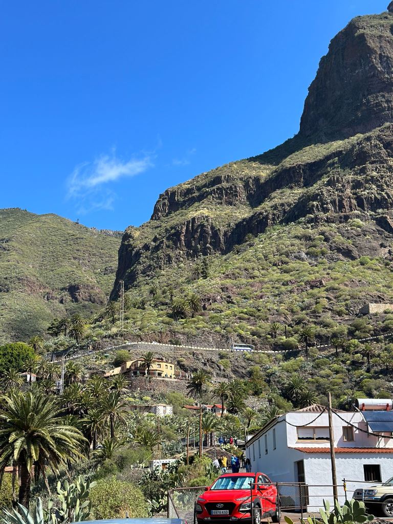 Tenerife Siam, Loro, Monkey park, delfiinid, vaalad