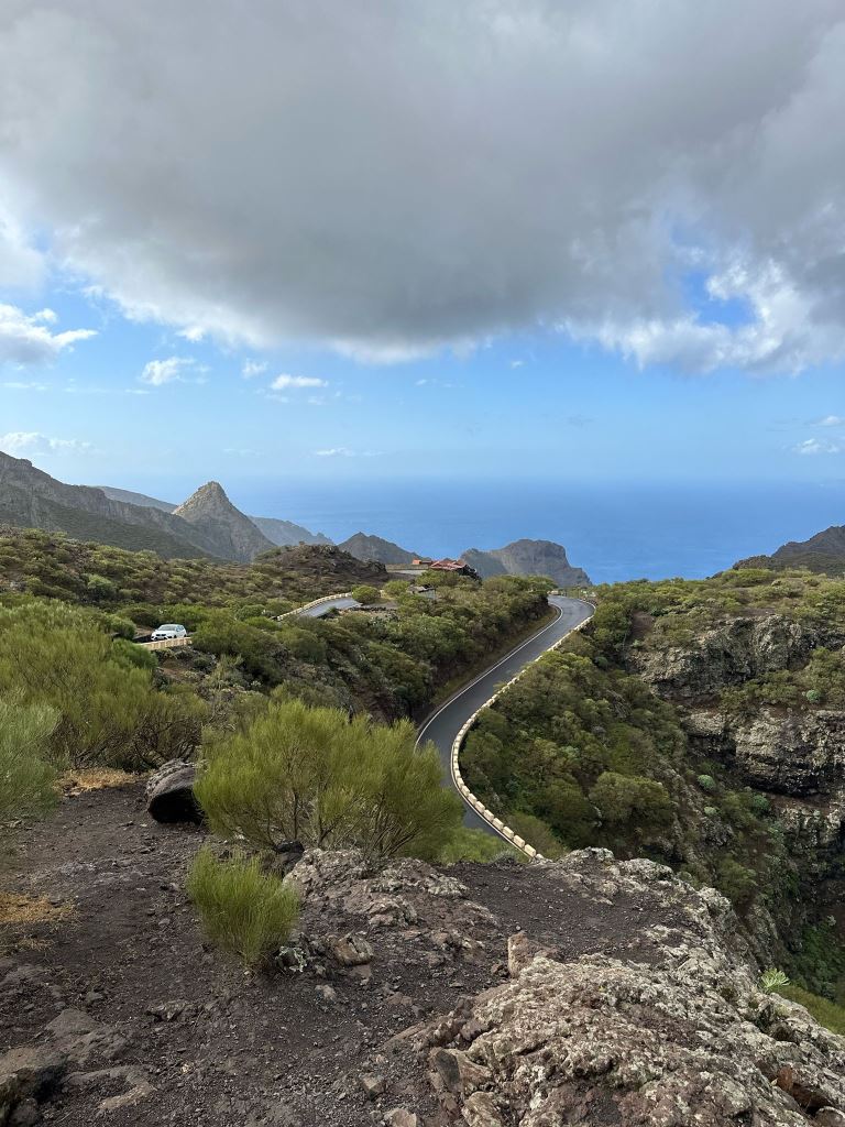 Tenerife Siam, Loro, Monkey park, delfiinid, vaalad