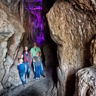 ПАРК ОРЛОВ - JUNGLE PARK | Tenerife Kompass