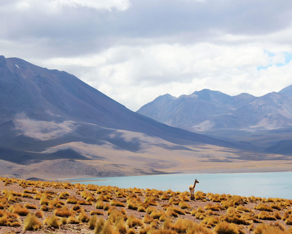 Tenerife maastik ja vulkaanid, rahulik järv ja kõrbed, ideaalne loodusvaade.