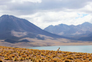 Tenerife maastik ja vulkaanid, rahulik järv ja kõrbed, ideaalne loodusvaade.