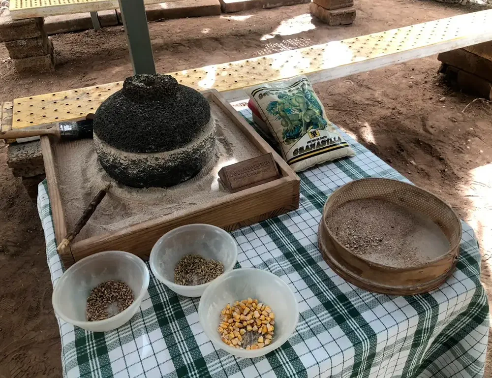 Banaaniistandus ja veinituur