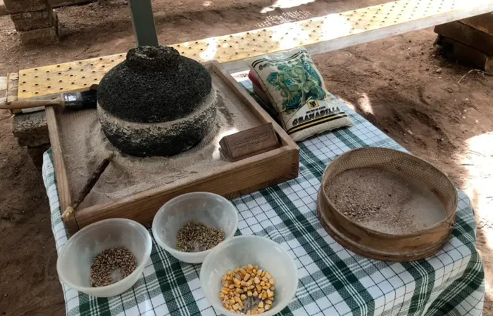 Banaaniistandus ja veinituur