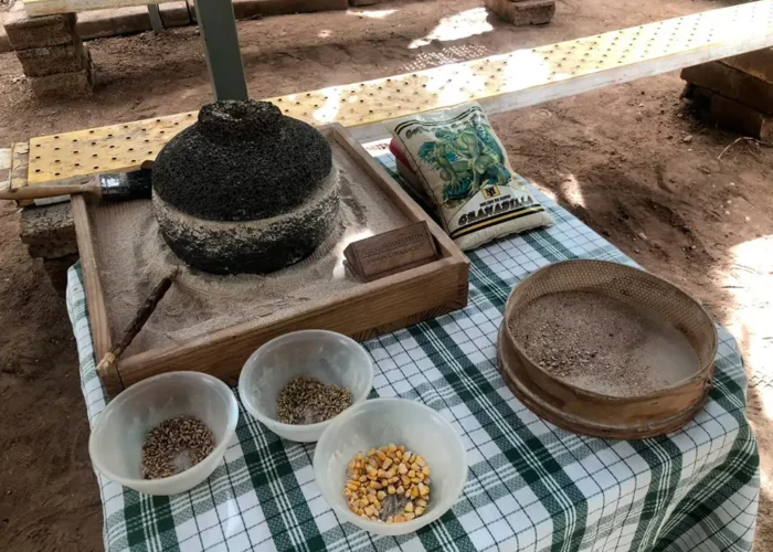 Banaaniistandus ja veinituur