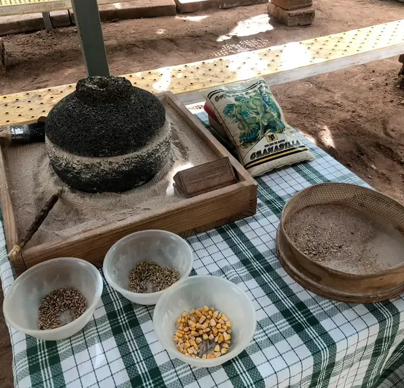 Banaaniistandus ja veinituur