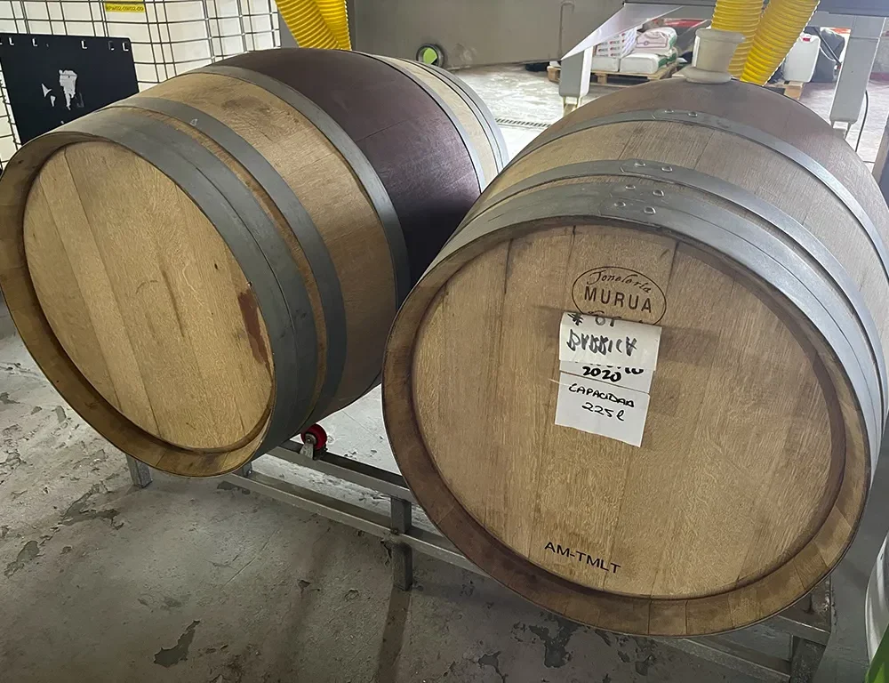 Veinituur ja banaaniistandus