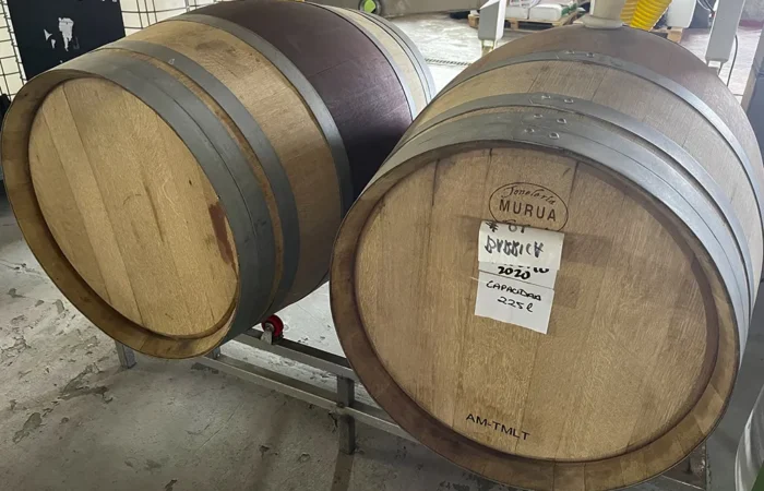 Veinituur ja banaaniistandus