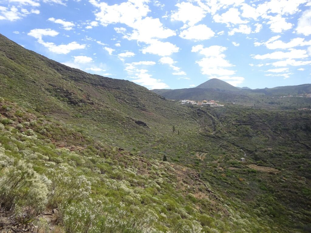 Camino Real matk