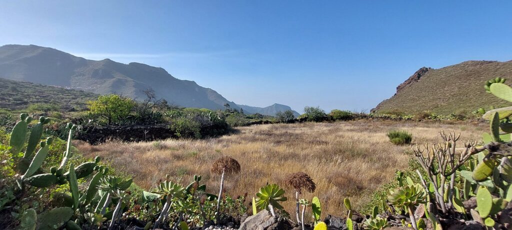 Camino real tenerife 4