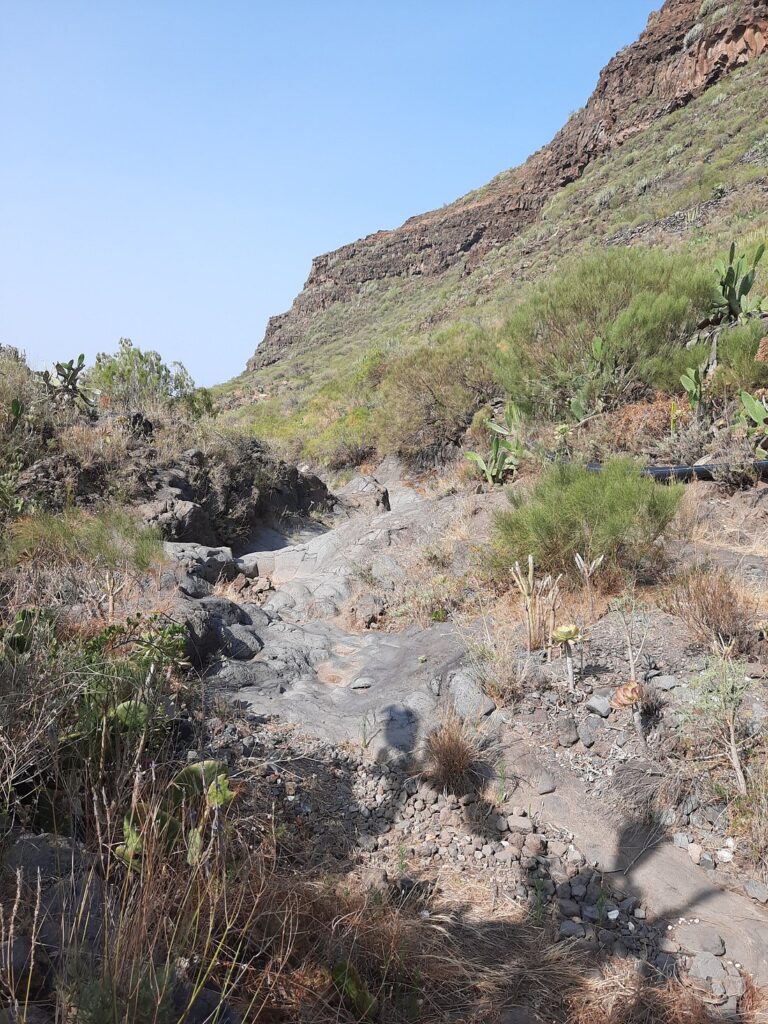 Camino real tenerife 5