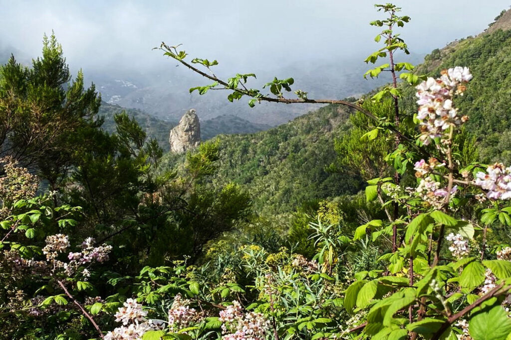 Ekskursioon la gomera saarele 9