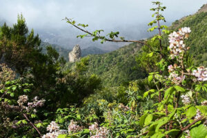 Ekskursioon la gomera saarele 9