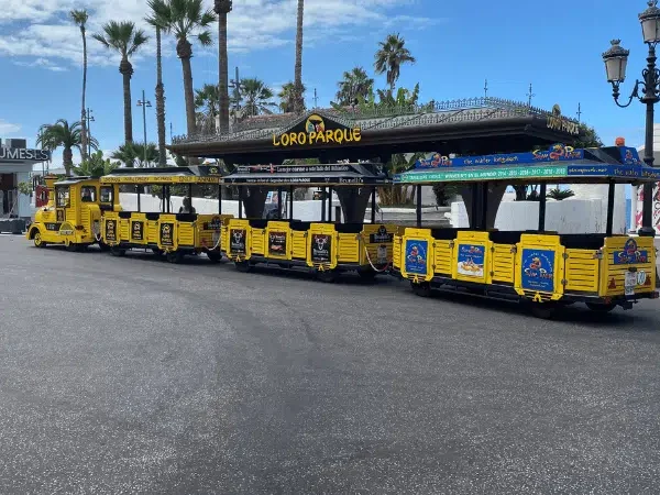 Loro pargi tasuta rong