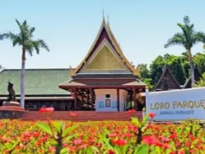 Sissepääas Loro parki