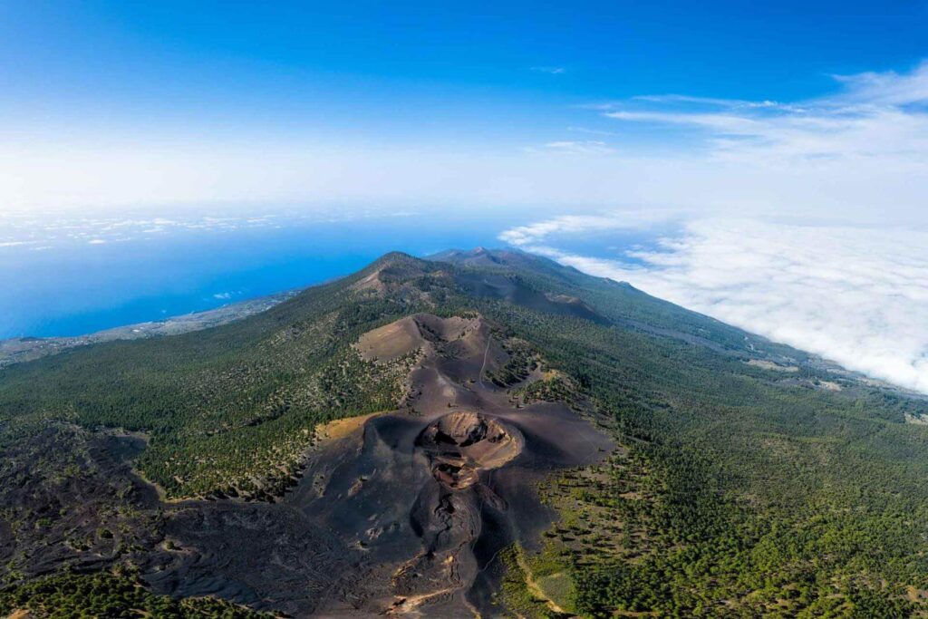 Tenerifelt la palmale 8