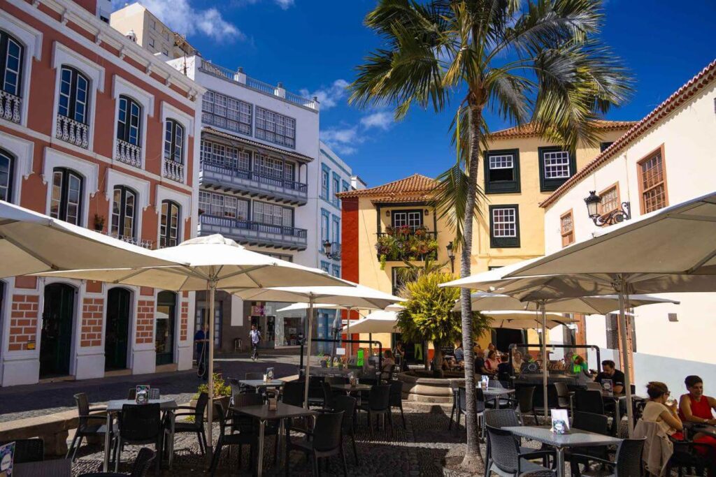 Tenerifelt la palmale 9