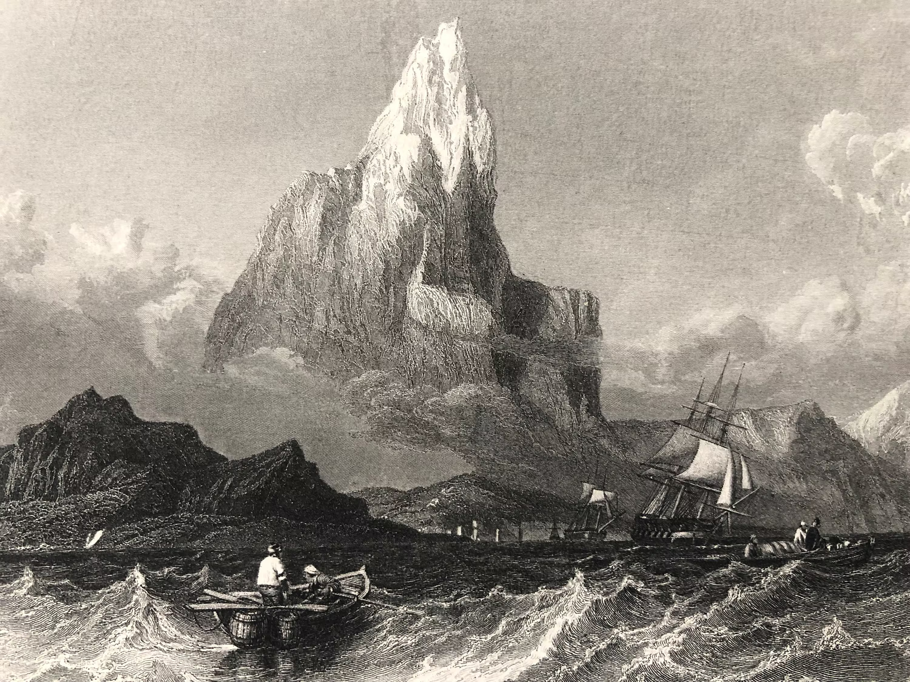 ACHINETIST TENERIFENI