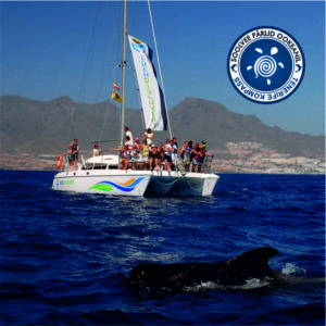 Eden katamaraan, vaalad ja delfiinid ookeanil