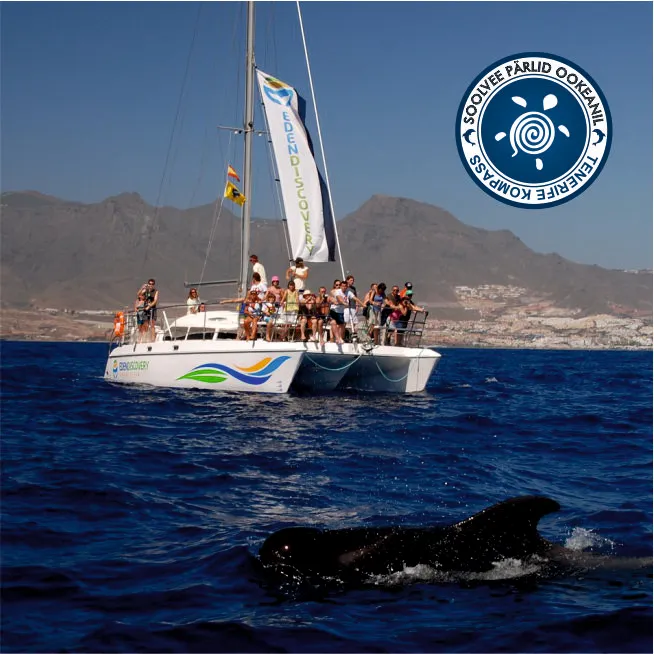 Vaalavaatlused Tenerifel katamaraaniga