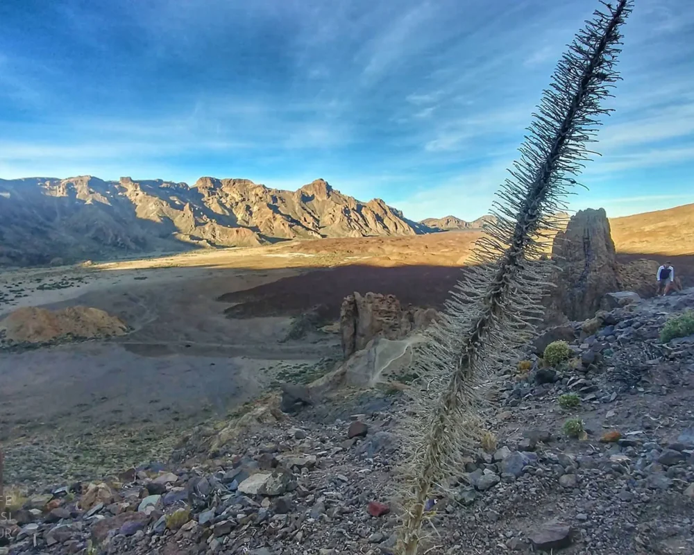El teide vulkaan tenerife 4 2048x 1152 1