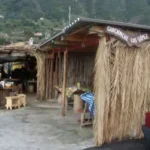 Guachinche 448x 336 1