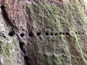 Guimari pramiidid heyerdahl 8 550x 412 1