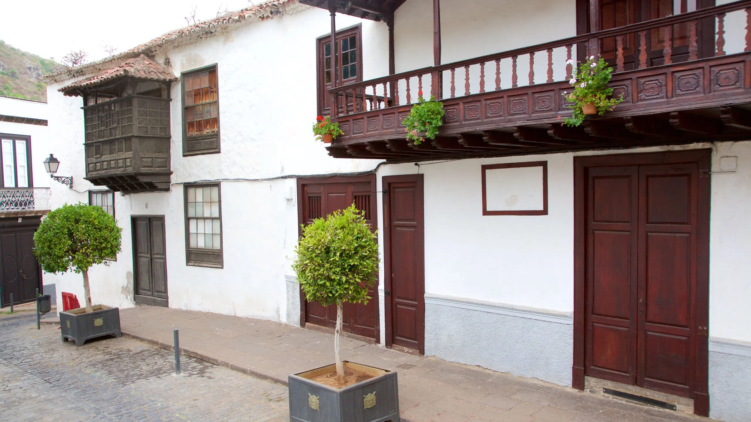 ICOD DE LOS VINOS – DRAAKONIPUU JA TUULTE KOOBAS