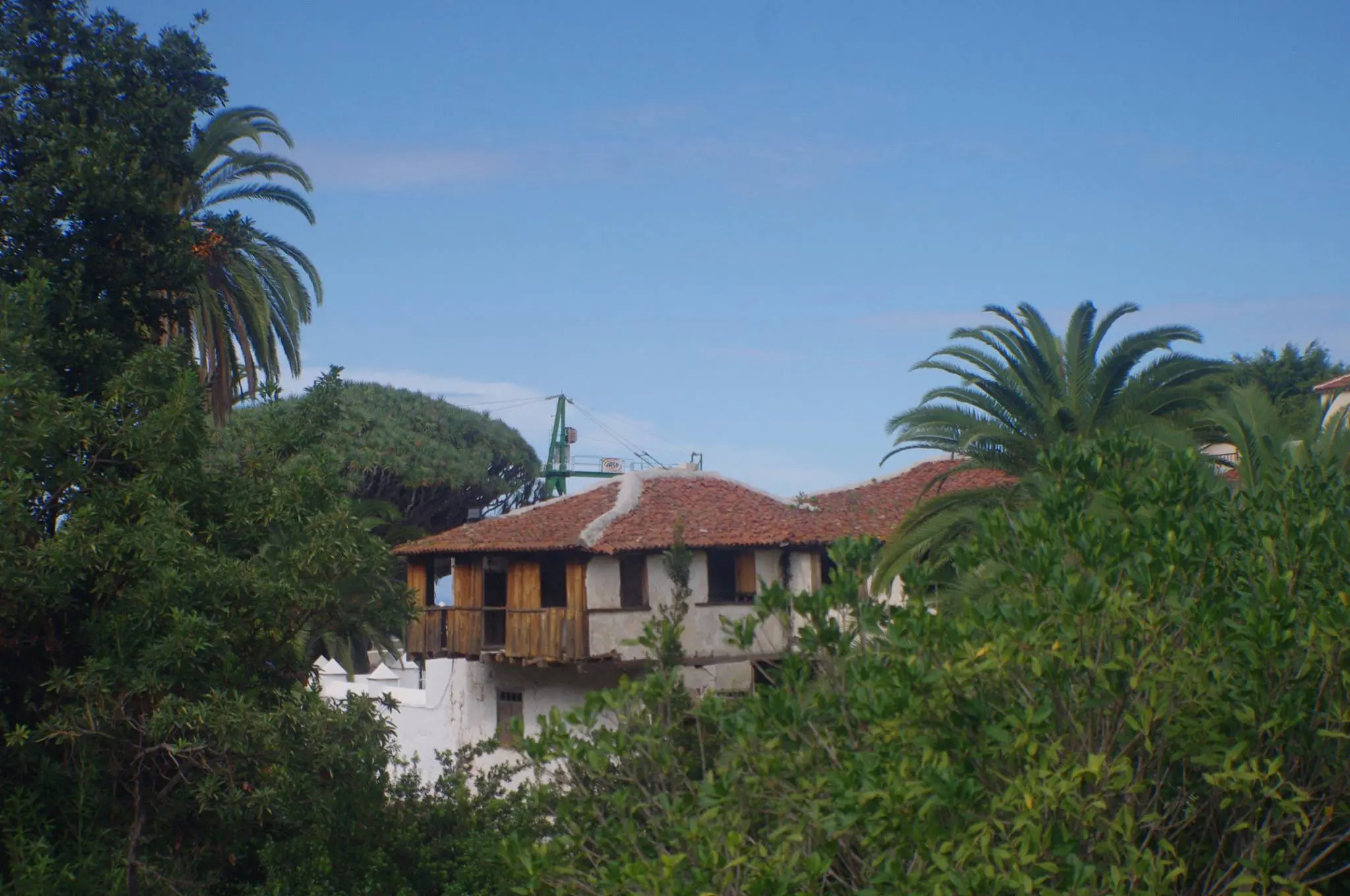 ICOD DE LOS VINOS – DRAAKONIPUU JA TUULTE KOOBAS