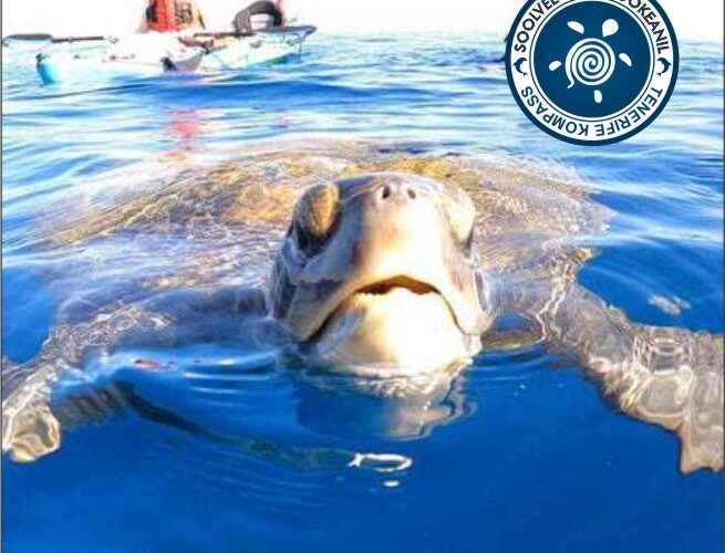 Kajakisafari Tenerifel