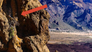 Tenerife blogi | kanaari seeder