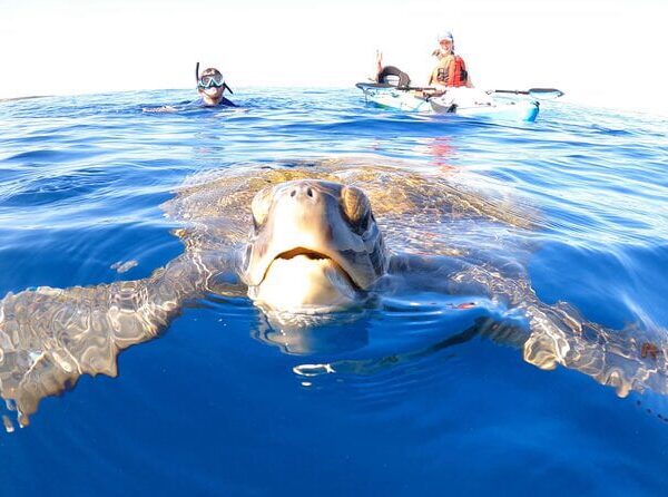 Kajakisafari Tenerifel