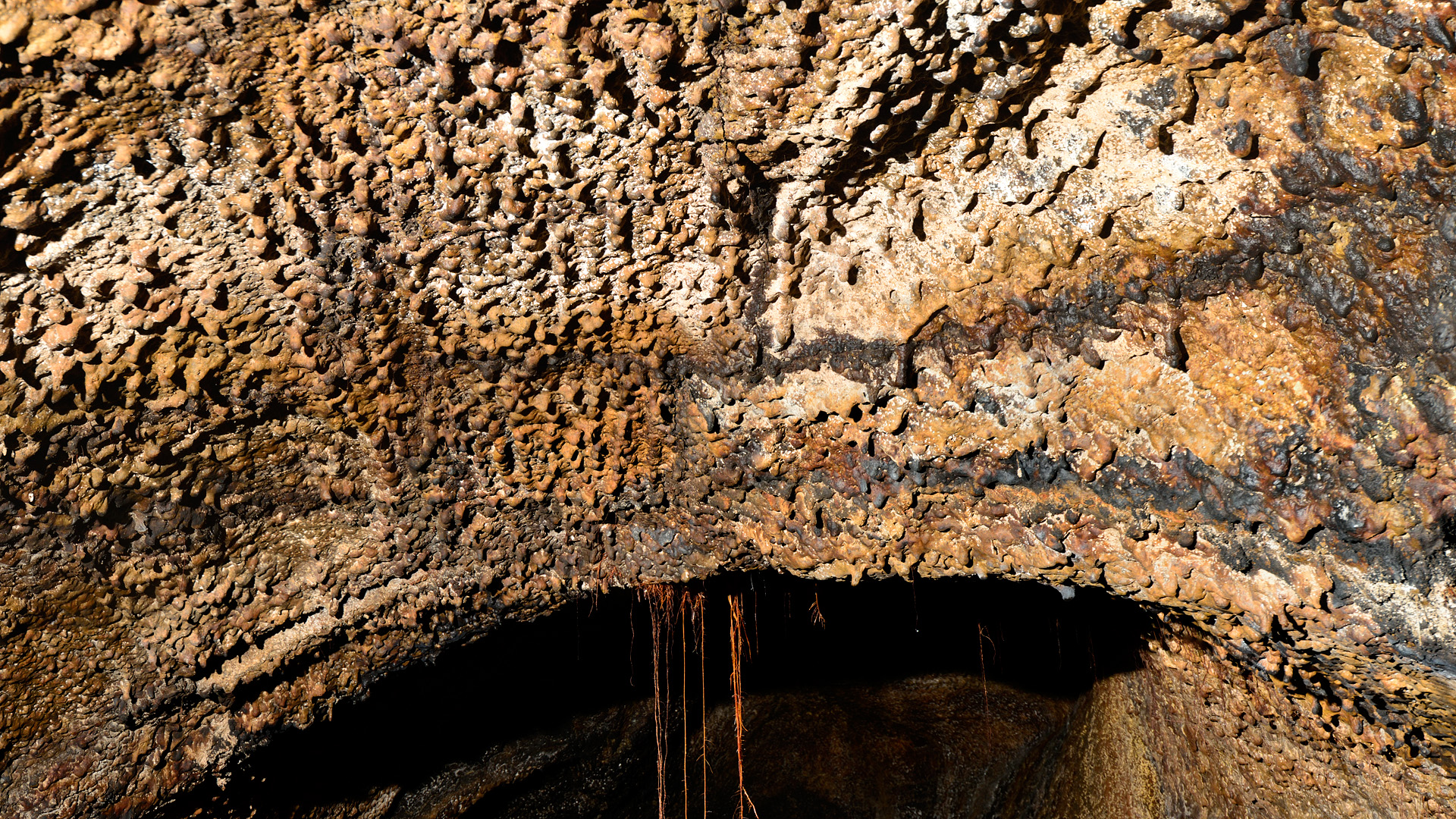 ICOD DE LOS VINOS – DRAAKONIPUU JA TUULTE KOOBAS